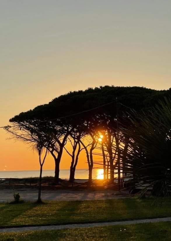 La Perla Del Mare Bed & Breakfast La Caletta Dış mekan fotoğraf